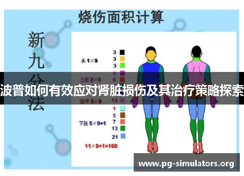 波普如何有效应对肾脏损伤及其治疗策略探索 波普如何有效应对肾脏损伤及其治疗策略探索