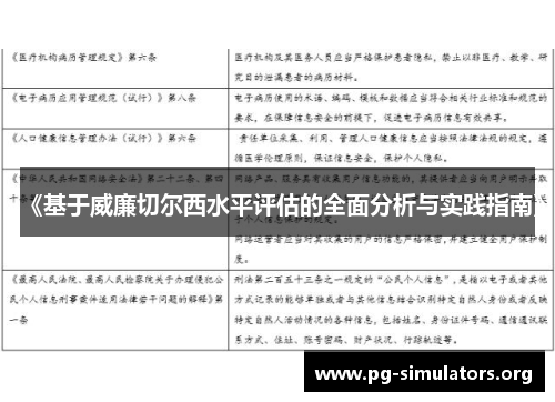 《基于威廉切尔西水平评估的全面分析与实践指南》 《基于威廉切尔西水平评估的全面分析与实践指南》