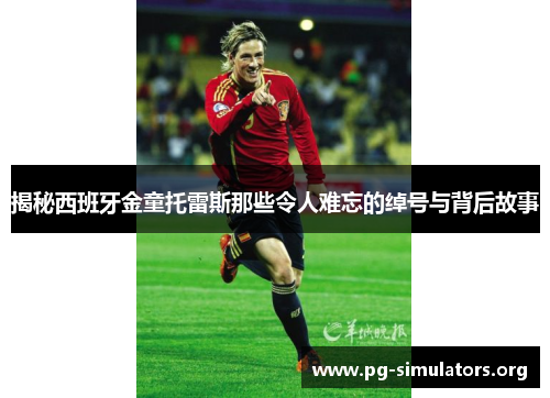 揭秘西班牙金童托雷斯那些令人难忘的绰号与背后故事 揭秘西班牙金童托雷斯那些令人难忘的绰号与背后故事