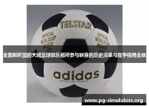 全面解析加的夫城足球俱乐部所参与联赛的历史沿革与竞争格局全貌 全面解析加的夫城足球俱乐部所参与联赛的历史沿革与竞争格局全貌