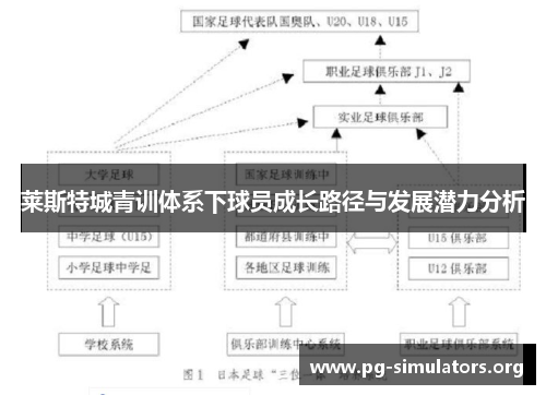 莱斯特城青训体系下球员成长路径与发展潜力分析